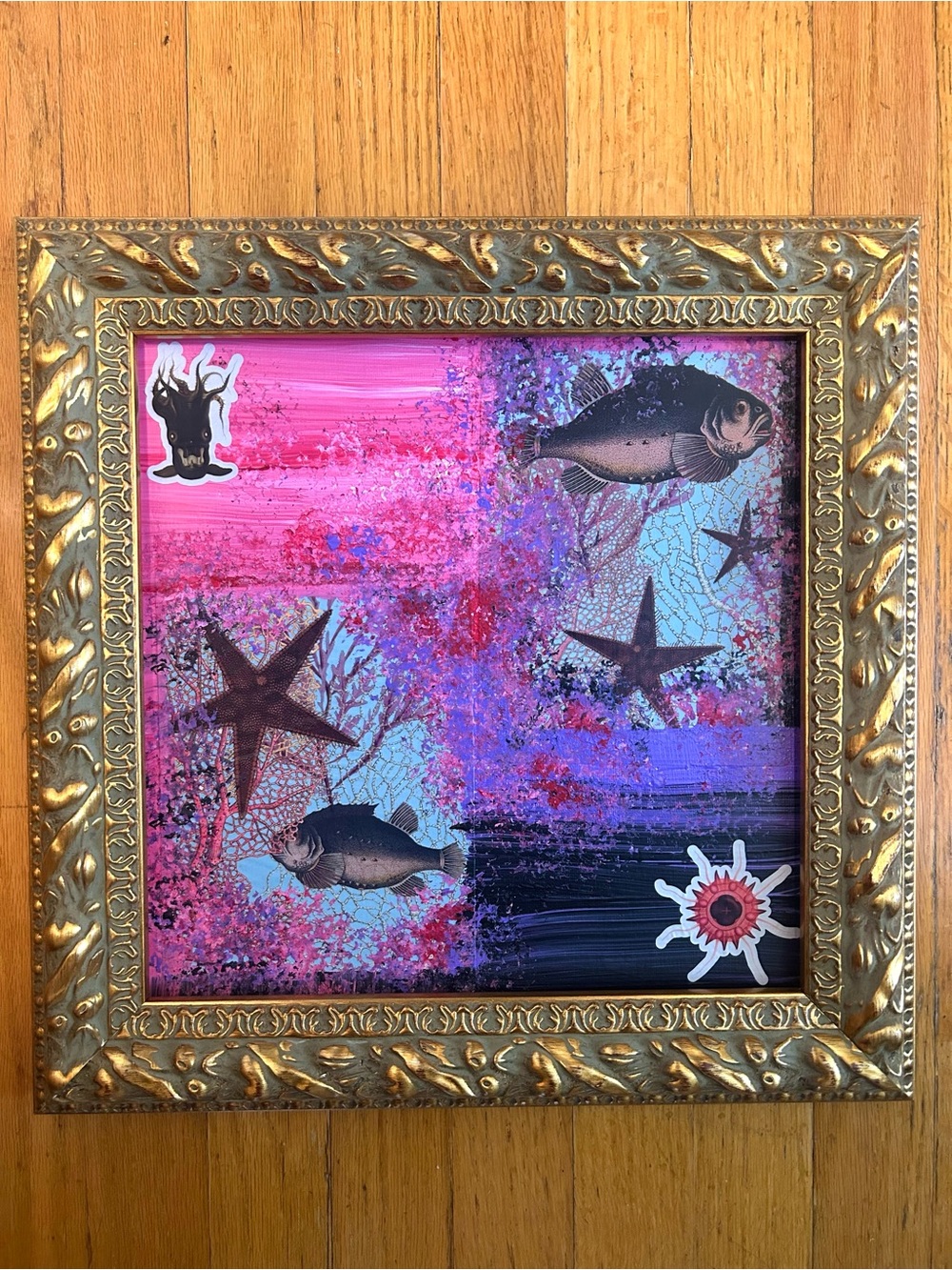 Lumpsucking starfish